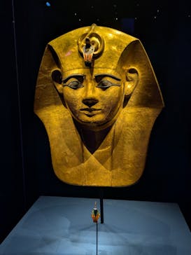 ACN ラムセス大王展 ファラオたちの黄金に投稿された画像（2025/9/20）