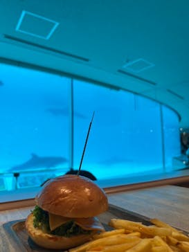 マリンワールド海の中道に投稿された画像（2025/9/20）