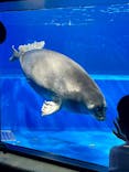 サンシャイン水族館に投稿された画像（2025/9/21）