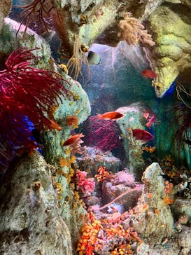 サンシャイン水族館に投稿された画像（2025/9/20）