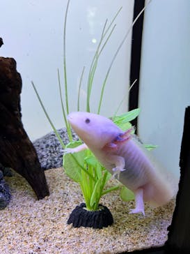 サンシャイン水族館に投稿された画像（2025/9/20）