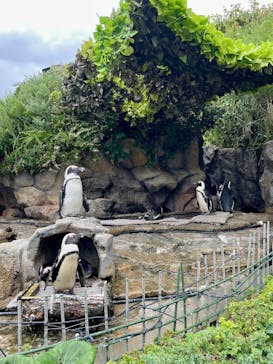 サンシャイン水族館に投稿された画像（2025/9/20）