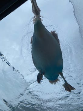 サンシャイン水族館に投稿された画像（2025/9/20）