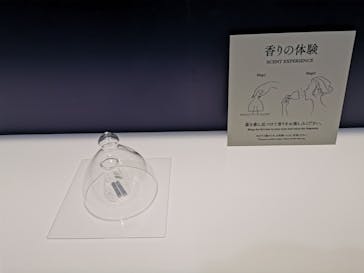 正倉院 THE SHOW ―感じる。いま、ここにある奇跡―　@上野の森美術館に投稿された画像（2025/9/20）