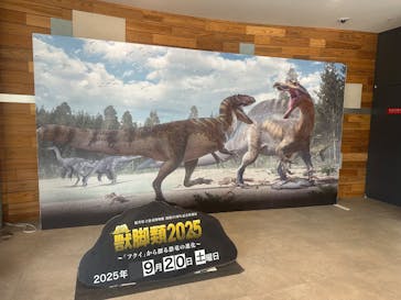 福井県立恐竜博物館に投稿された画像（2025/9/20）