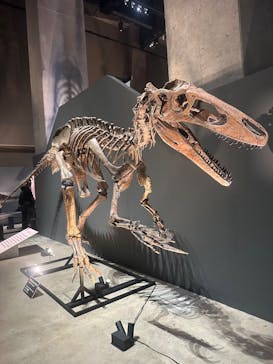 福井県立恐竜博物館に投稿された画像（2025/9/20）