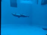 名古屋港水族館に投稿された画像（2025/9/21）