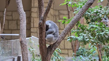 名古屋市東山動植物園に投稿された画像（2025/9/21）