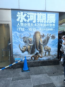 特別展「氷河期展 〜人類が見た4万年前の世界〜」（国立科学博物館）に投稿された画像（2025/9/21）