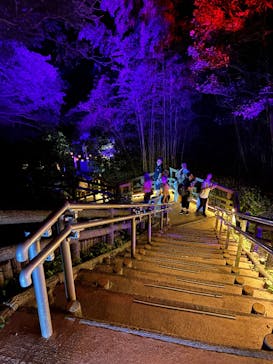 ニジゲンノモリに投稿された画像（2025/9/21）