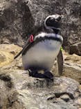 すみだ水族館に投稿された画像（2025/9/21）