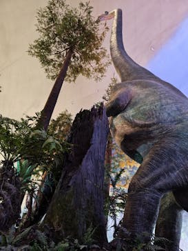 福井県立恐竜博物館に投稿された画像（2025/9/21）