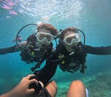 沖縄マリンサービス碧に投稿された画像（2025/9/21）