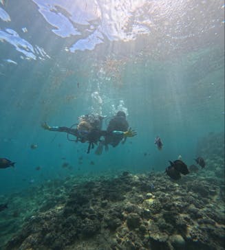 武藤潜水に投稿された画像（2025/9/21）