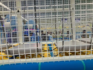 キッズランドUS 三重鈴鹿店に投稿された画像（2025/9/21）