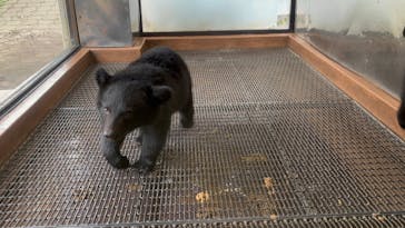 阿蘇カドリー・ドミニオンに投稿された画像（2025/9/21）