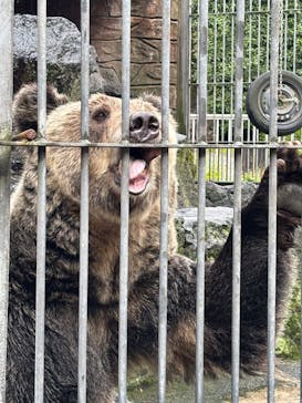 阿蘇カドリー・ドミニオンに投稿された画像（2025/9/21）