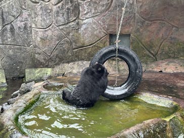 阿蘇カドリー・ドミニオンに投稿された画像（2025/9/21）