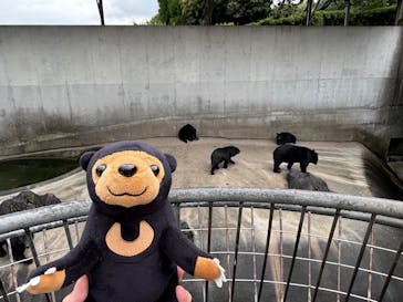 阿蘇カドリー・ドミニオンに投稿された画像（2025/9/21）