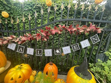 横浜イングリッシュガーデンに投稿された画像（2025/9/21）