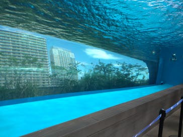 サンシャイン水族館に投稿された画像（2025/9/21）