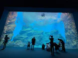 仙台うみの杜水族館に投稿された画像（2025/9/21）