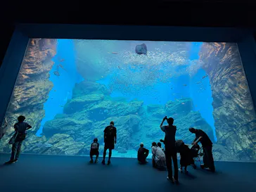 仙台うみの杜水族館に投稿された画像（2025/9/21）