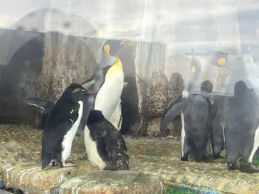 仙台うみの杜水族館に投稿された画像（2025/9/21）