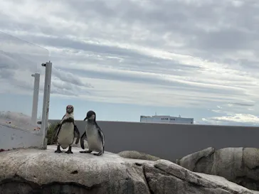 仙台うみの杜水族館に投稿された画像（2025/9/21）