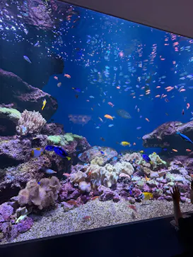 仙台うみの杜水族館に投稿された画像（2025/9/21）