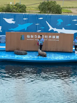 仙台うみの杜水族館に投稿された画像（2025/9/21）