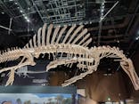 福井県立恐竜博物館に投稿された画像（2025/9/21）