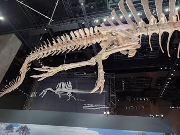 福井県立恐竜博物館に投稿された画像（2025/9/21）