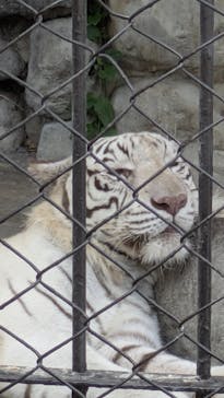 東武動物公園に投稿された画像（2025/9/21）