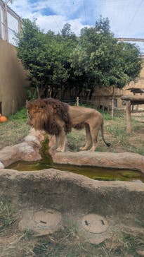 東武動物公園に投稿された画像（2025/9/21）