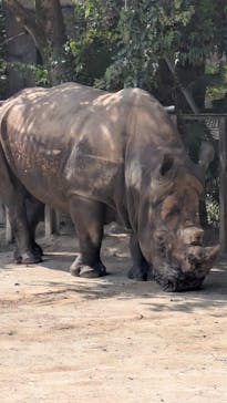 東武動物公園に投稿された画像（2025/9/21）