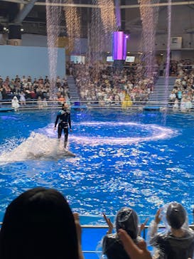 マクセル アクアパーク品川に投稿された画像（2025/9/21）