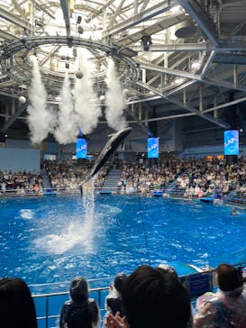 マクセル アクアパーク品川に投稿された画像（2025/9/21）