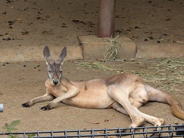 多摩動物公園に投稿された画像（2025/9/21）