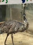 天王寺動物園に投稿された画像（2025/9/21）