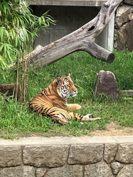 天王寺動物園に投稿された画像（2025/9/21）