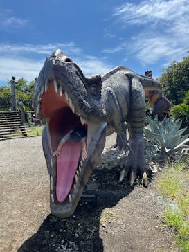 伊豆ぐらんぱる公園に投稿された画像（2025/9/21）