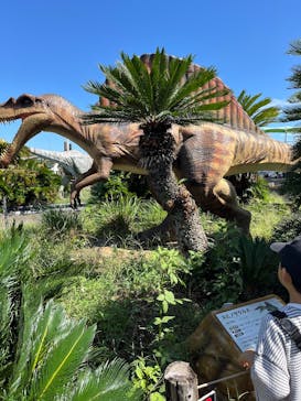 伊豆ぐらんぱる公園に投稿された画像（2025/9/21）