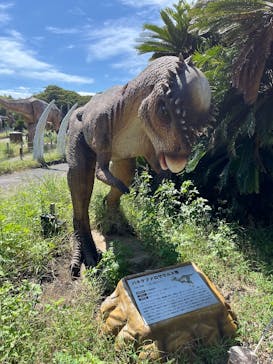 伊豆ぐらんぱる公園に投稿された画像（2025/9/21）