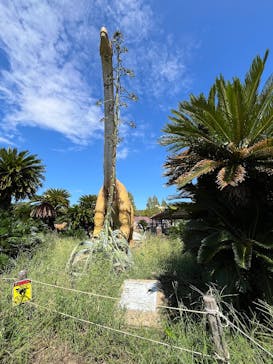 伊豆ぐらんぱる公園に投稿された画像（2025/9/21）