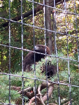 天王寺動物園に投稿された画像（2025/9/21）