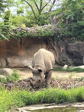 天王寺動物園に投稿された画像（2025/9/21）