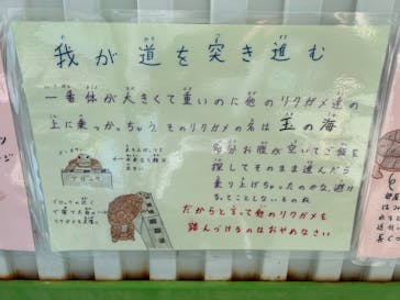 竹島水族館に投稿された画像（2025/9/21）