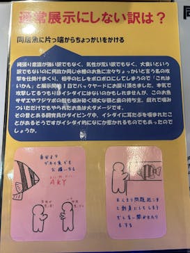 竹島水族館に投稿された画像（2025/9/21）