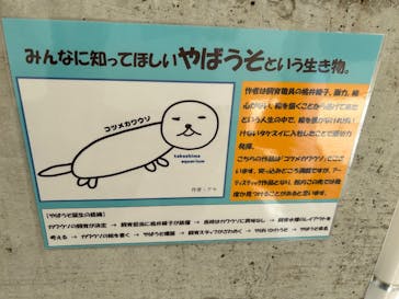 竹島水族館に投稿された画像（2025/9/21）